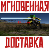 ✅Survival Driver ⚡ Steam\РФ+Весь Мир\Key⭐+ Карточки🂡