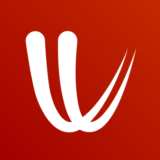 Windy Premium 12 месяцев до Вашего аккаунта