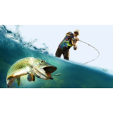 Pro Fishing Simulator PS4 & PS5