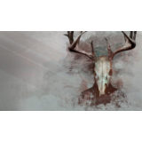 Intruders: Hide and Seek PS4 & PS5