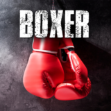 Boxer PS4 & PS5