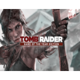 Tomb Raider GOTY 2020 / STEAM GLOBAL КЛЮЧ 🔥
