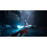 Spirit of the North + The Captain EPIC GAMES АККАУНТ+🎁