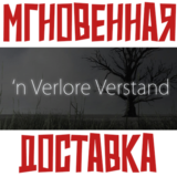 ✅'n Verlore Verstand ⚡ Steam\РФ+Весь Мир\Key⭐+ Карточки