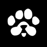 Рефералы🐾 PAWS⚡@PAWSOG_bot