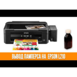 Сброс памперса  Epson : L210
