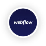 Webflow CMS plan for 1 Year Private Account