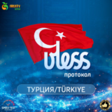 VPN VLESS 🛡️ Турция 🌍 Скорость 2 Gb⚡Работает в РФ✊🏻