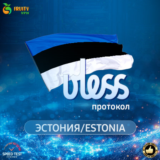 VPN VLESS 🛡️ Эстония 🌍 Скорость 2 Gb⚡Работает в РФ✊🏻