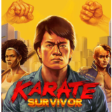 ・KARATE SURVIVOR・STEAM АККАУНТ・