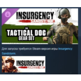 Insurgency: Sandstorm - Tactical Doc Gear Set STEAM РФ