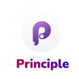 Principle 6 ключ🔑Principle MAC OS🖥️Principle for mac