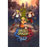 ⭐️Double Dragon Gaiden: Rise Of The Dragons / Steam/ РФ