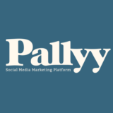 🗓 PALLYY PRO ПОДПИСКА 1-12М НА ВАШ АККАУНТ