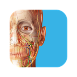 Advanced Animatios Human Anatomy Atlas ✅Microsoft Store