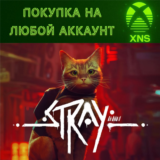 Stray 🐈XBOX ONE & SERIES & ПК❗Быстро на любой аккаунт❗