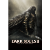 ⭐️Dark Souls II: Scholar of the First Sin / Steam / РФ