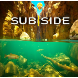 💥Subside VR 🔵 PS5 🔴ТУРЦИЯ🔴
