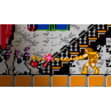 Arcade Archives VS. CASTLEVANIA PS4 & PS5