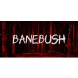Banebush * STEAM РОССИЯ🔥