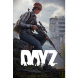 ⭐️DayZ / Steam Key / РФ+МИР