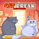 Cat Break Head to Head PS5