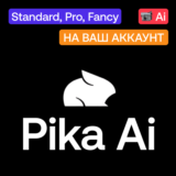 📹 Pika.art Ai | Standard, Pro, Fancy | На ваш аккаунт