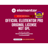 Оригинальная лицензия Elementor pro Установка 1 год