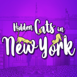 Hidden Cats in New York PS5