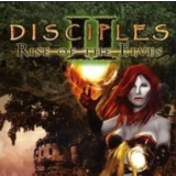 ⭐️Disciples II: Rise of the Elves / Steam Key / РФ+МИР