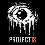Project 13 PS5