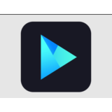 Vidmore Player (Windows) Лицензия на 1 год