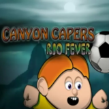 ⭐️DLC Canyon Capers + Rio Fever / Steam Key / РФ+МИР