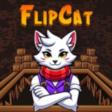 🔥FlipCat🔥XBOX