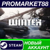 ✅ Winter Survival Steam АККАУНТ НОВЫЙ+ПОЧТА