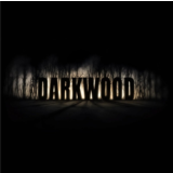 ⭐️Darkwood / Steam Key / РФ+МИР