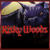 Risky Woods (QUByte Classics) PS4 & PS5