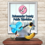Salamander County Public Television PS4 & PS5