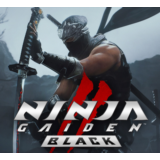 ・NINJA GAIDEN 2 Black・STEAM АККАУНТ・