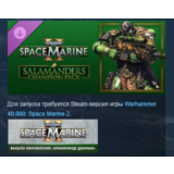 Warhammer 40,000 Space Marine 2 Salamanders Champion Pa