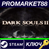 ⭐ Dark Souls II: Scholar of the First Sin ASIA Steam КЛ