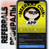 Meerkat Coin App | 🟡 РЕФЕРАЛЫ | @meerkat_coin_bot