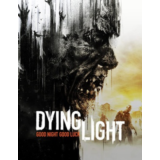 Dying Light steam Online Полный доступ+Почта
