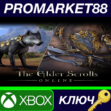 ⭐ The Elder Scrolls Online - Dragon Slayer Bundle #2 DL