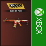 ☑️⭐Deadside: Buns on Fire Skin Set XBOX⭐На Ваш акк⭐☑️