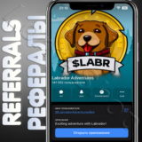 🧊 Labrador Adventures | РЕФЕРАЛЫ | @LabradorAdventures