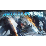 METAL GEAR RISING: REVENGEANCE (STEAM KEY / RU/CIS)