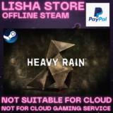 Heavy Rain Стим на 90 дней