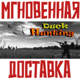 ✅Duck Hunting ⚡ Steam\РФ+Весь Мир\Key⭐+ Карточки🂡