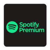 🌎✅1/3/6/12 месяцев Spotify Premium✅🌍